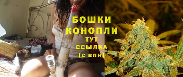 стаф Майский