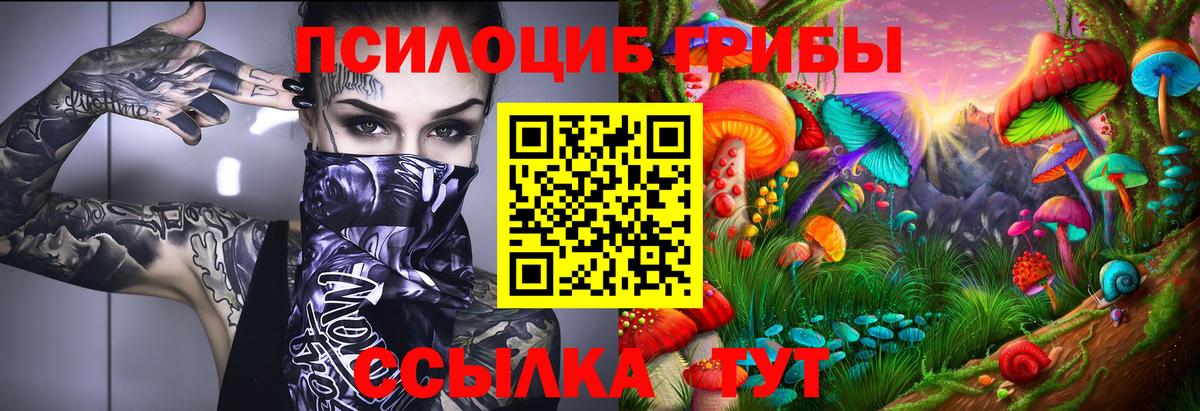 Псилоцибиновые грибы Psilocybe  как найти закладки  Радужный  Вход с VPN 